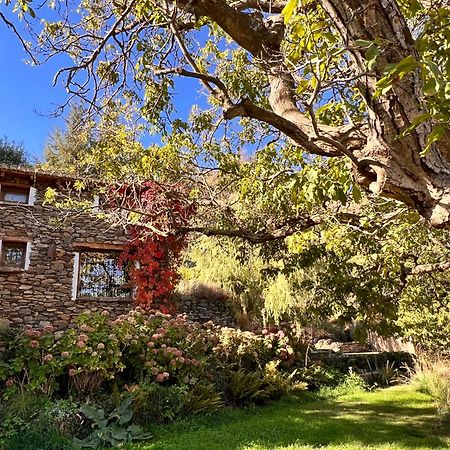 Villa La Casa Del Nogal Güéjar Sierra Exterior foto