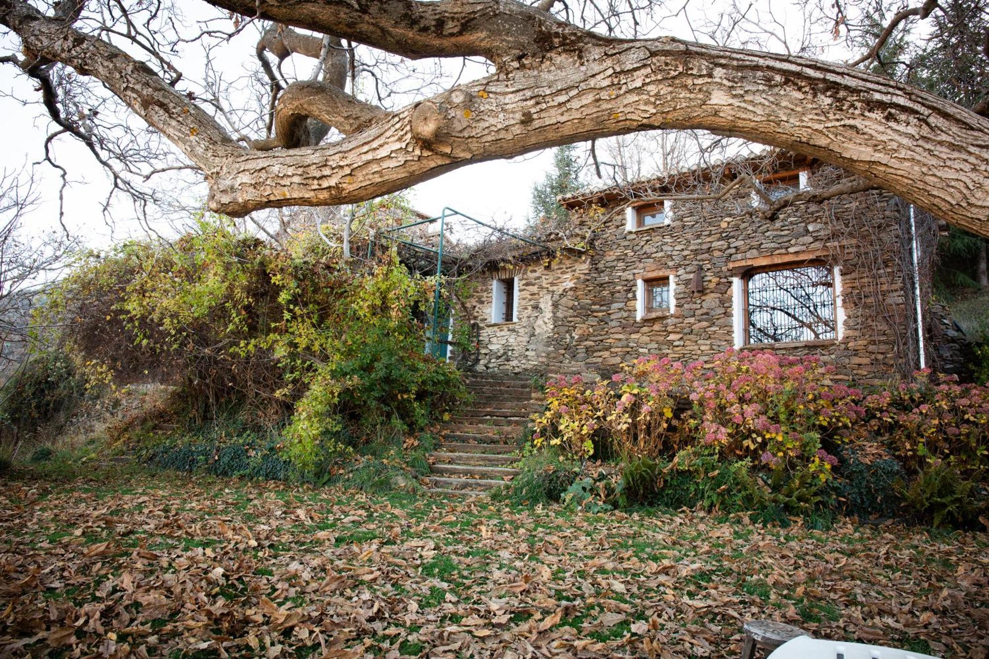 Villa La Casa Del Nogal Güéjar Sierra Exterior foto