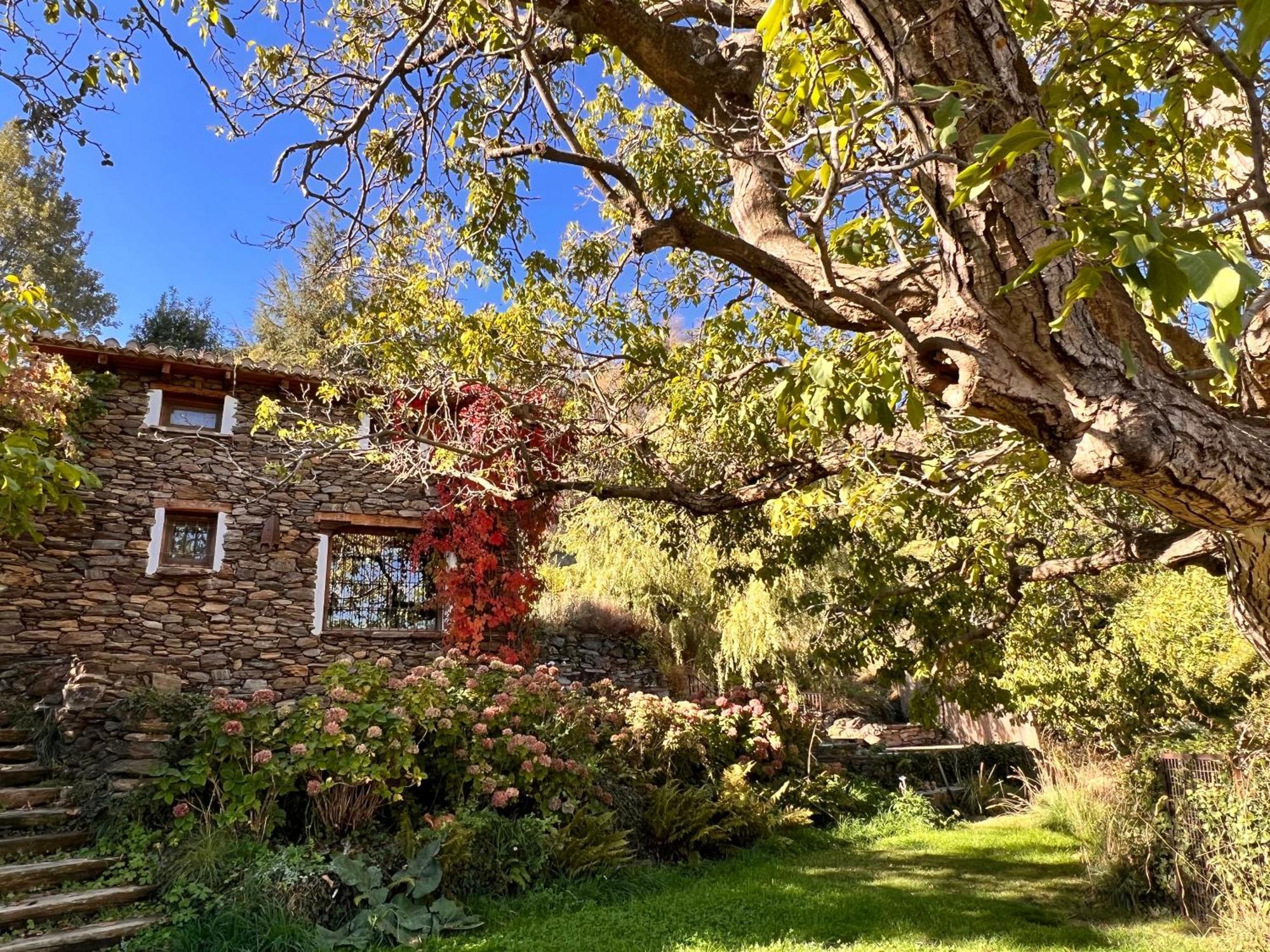 Villa La Casa Del Nogal Güéjar Sierra Exterior foto